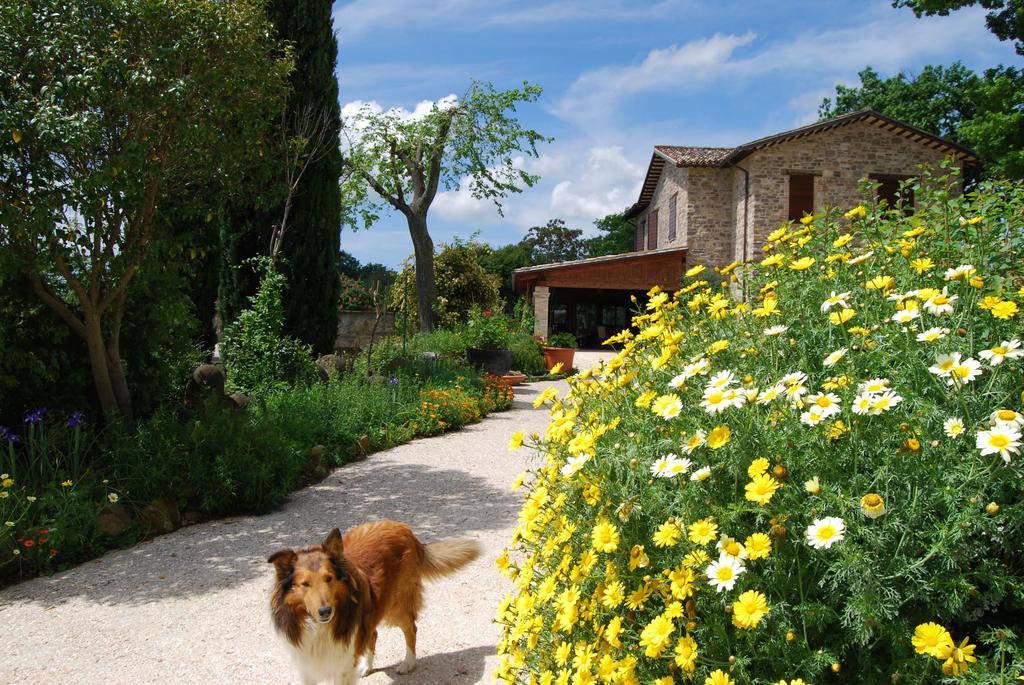 Casale il Cerqueto Bed and Breakfast San Severino Marche Esterno foto