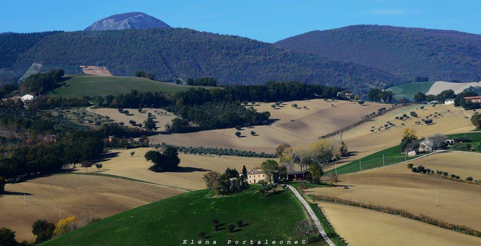 Casale il Cerqueto Bed and Breakfast San Severino Marche Esterno foto