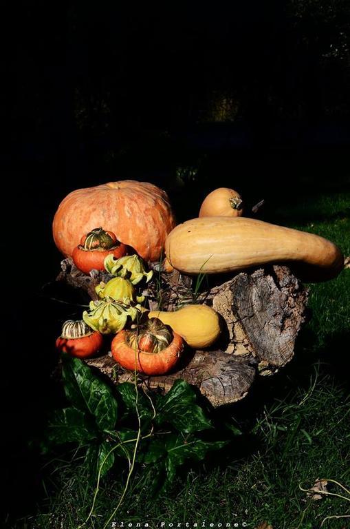 Casale il Cerqueto Bed and Breakfast San Severino Marche Esterno foto