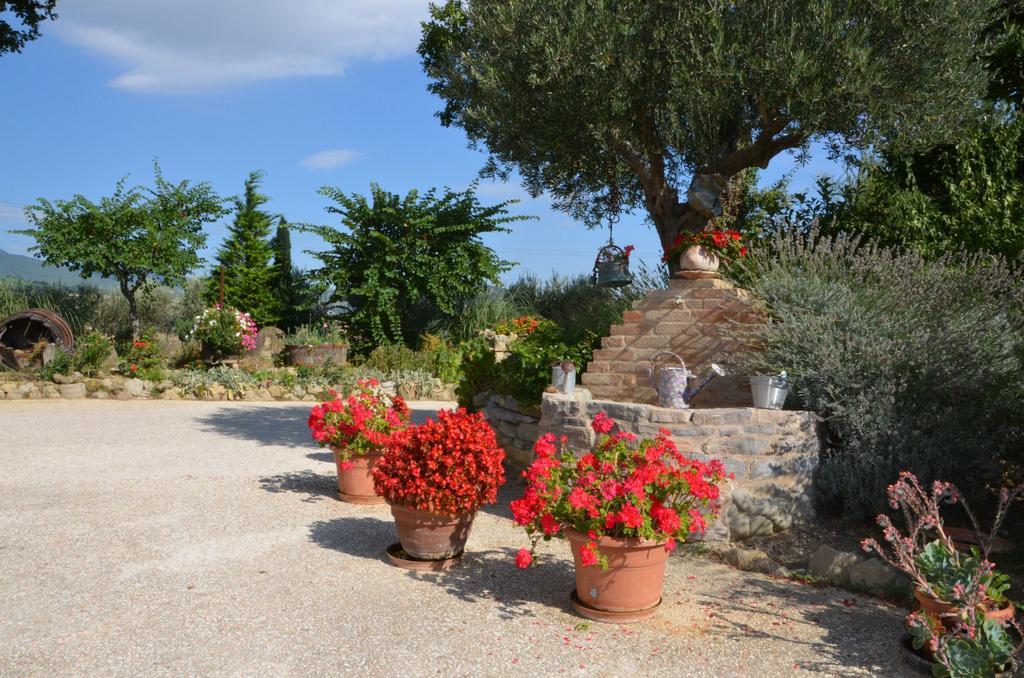 Casale il Cerqueto Bed and Breakfast San Severino Marche Esterno foto