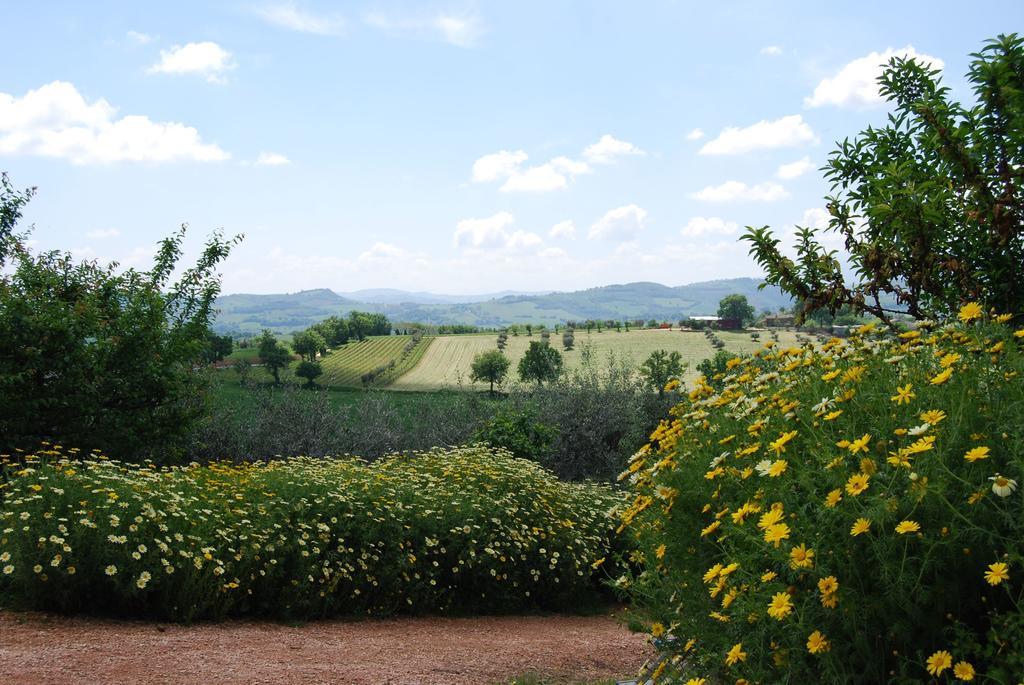 Casale il Cerqueto Bed and Breakfast San Severino Marche Esterno foto