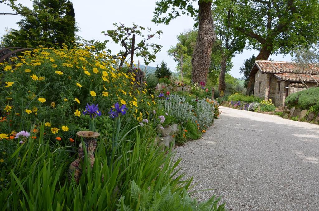 Casale il Cerqueto Bed and Breakfast San Severino Marche Esterno foto