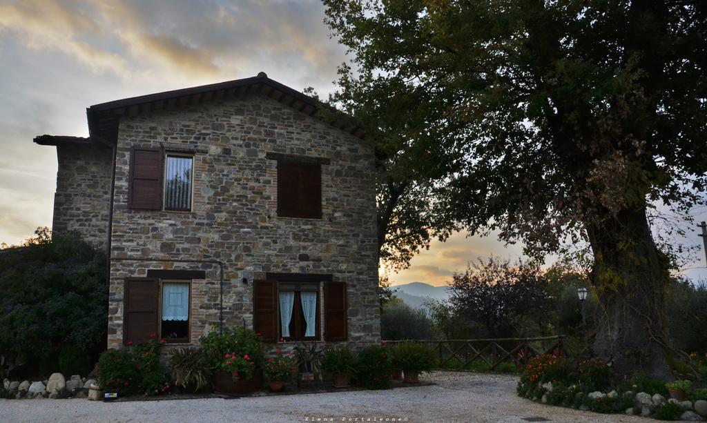 Casale il Cerqueto Bed and Breakfast San Severino Marche Esterno foto