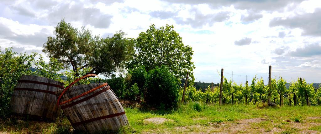 Casale il Cerqueto Bed and Breakfast San Severino Marche Esterno foto