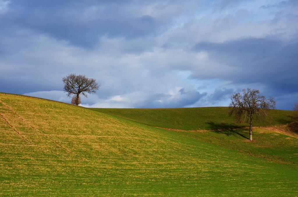 Casale il Cerqueto Bed and Breakfast San Severino Marche Esterno foto