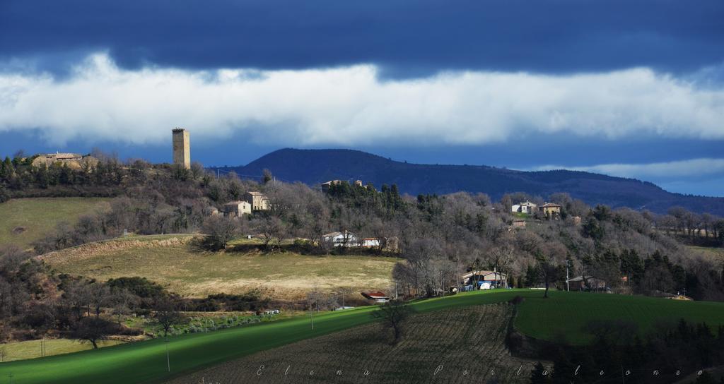 Casale il Cerqueto Bed and Breakfast San Severino Marche Esterno foto