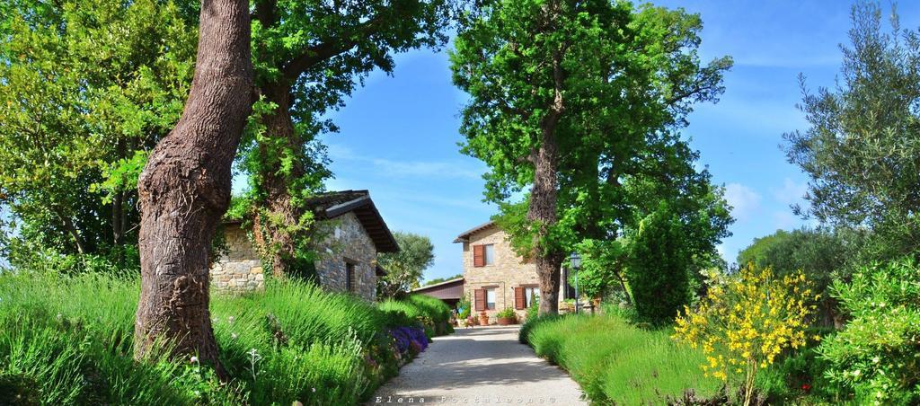 Casale il Cerqueto Bed and Breakfast San Severino Marche Esterno foto