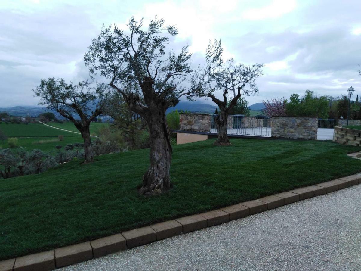 Casale il Cerqueto Bed and Breakfast San Severino Marche Esterno foto